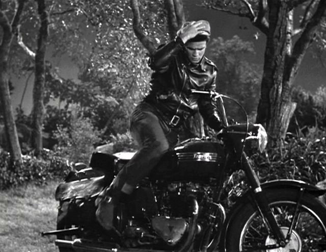 Harley davidson câu chuyện của hãng xe mô tô duy nhất nước mỹ - 3