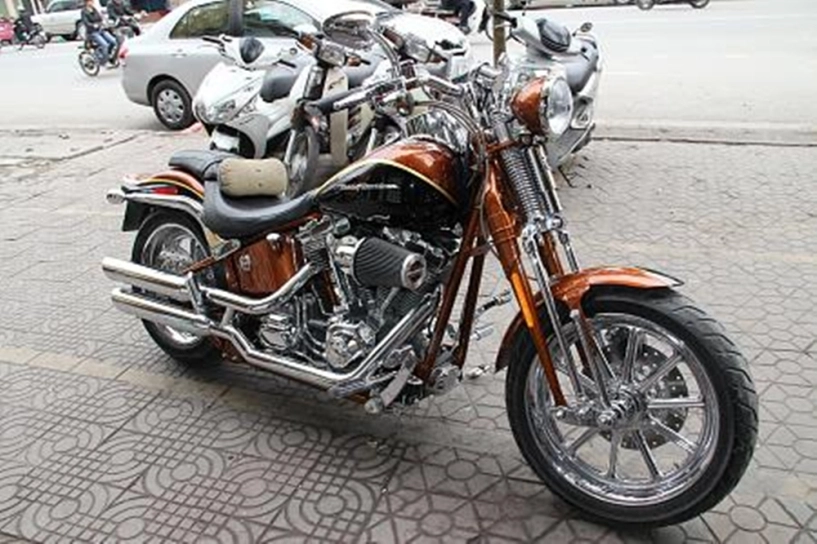 Harley-davidson cvo springer đẹp của clb moto hải phòng - 4