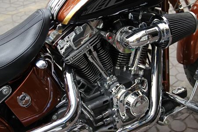 Harley-davidson cvo springer đẹp của clb moto hải phòng - 9