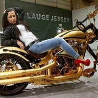 Harley-davidson dát vàng trị giá 20 tỷ đồng - 1
