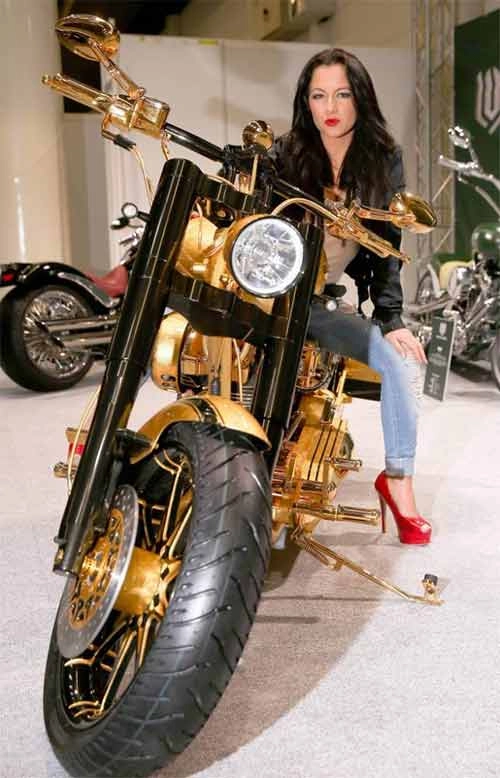 Harley-davidson dát vàng trị giá 20 tỷ đồng - 7