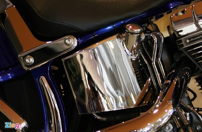 Harley-davidson sơn thủ công giá 14 tỷ đồng ở việt nam - 10