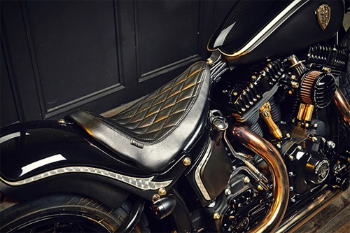 Harley softail slim quý tộc đến từ bóng đêm - 6