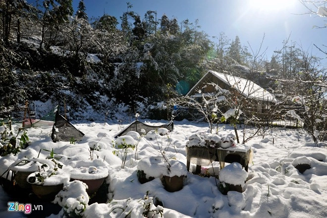 Hình ảnh sapa phủ đầy tuyết trắng đẹp nhất trong 50 năm qua - 5