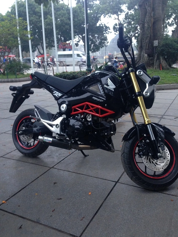 Honda msx 125cc giao lưu - 7