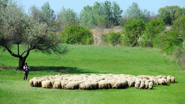 Hungary vùng đất cao bồi của châu âu - 3