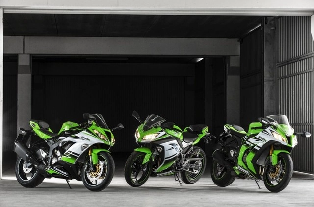 Kawasaki ninja 300 30th anniversary edition phiên bản kỷ niệm đã xuất hiện - 2