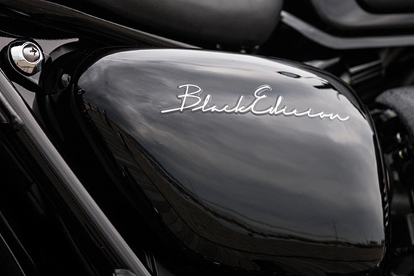 Kawasaki w800 black edition 2015 vừa được cho ra mắt - 5