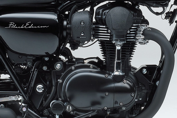 Kawasaki w800 black edition 2015 vừa được cho ra mắt - 6