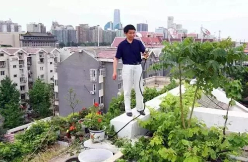 Khu vườn xanh ngát trên mái chung cư khiến hàng xóm nổi giận - 8