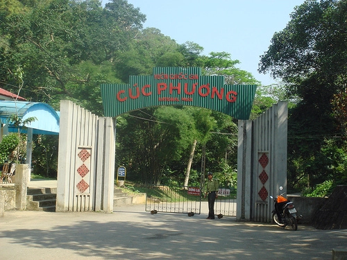 Kinh nghiệm du lịch rừng cúc phương - 1