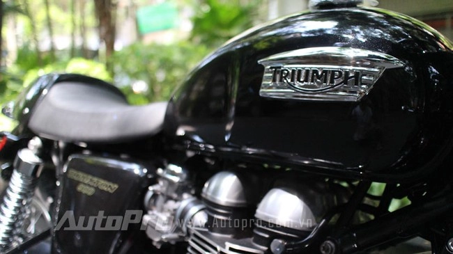 Mc anh tuấn tậu triumph thruxton 2013 - 13