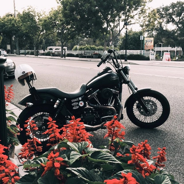 Mô tô và biker trong bộ ảnh chất lừ đầy phong cách trên instagram - 10