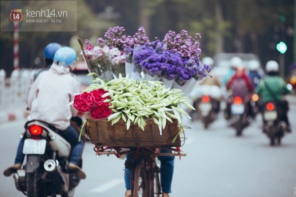 Mùa hoa loa kèn gọi tháng 4 về trên khắp phố phường hà nội - 9