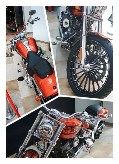 Ngắm bản độ chính hãng harley-davidson 2014 - 4