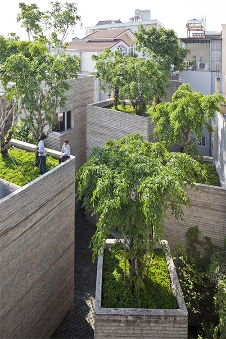 Nhà 5 khối phủ cây xanh của vn thắng giải kiến trúc thế giới - 2