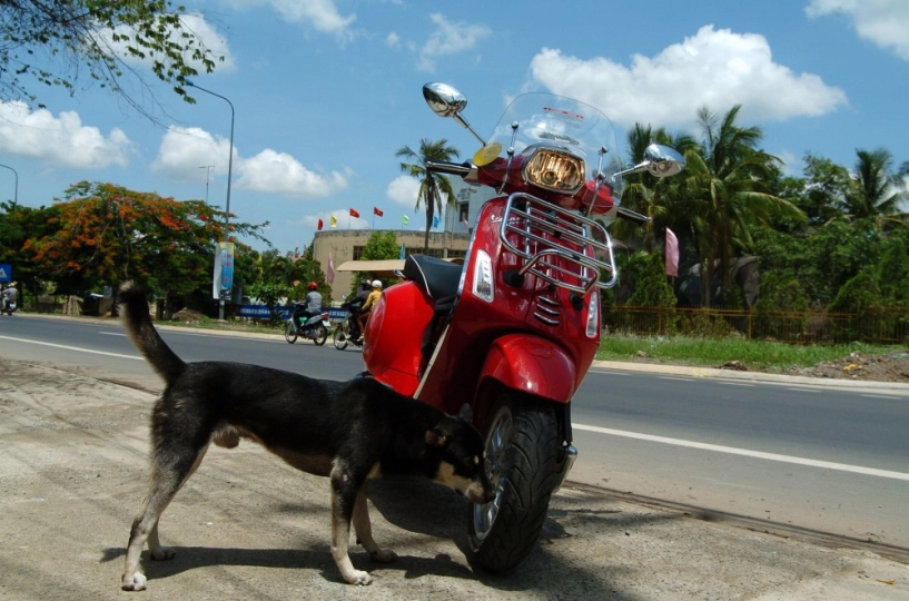 Nhật kí ngày đầu photo tour cùng vespa sprint gts 150 chinh phục langbiang - 11