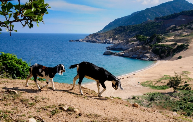 Những bãi biển hoang sơ đẹp nhất ninh thuận - 1