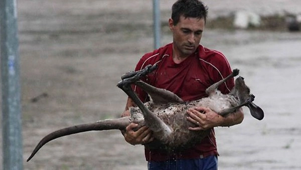 Những bức ảnh chạm đến trái tim về tình thương của con người dành cho động vật - 18
