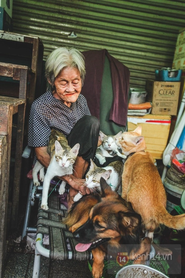 Những chú chó mèo bị bỏ rơi và hàng rau của bà cụ không gia đình ở sài gòn - 9