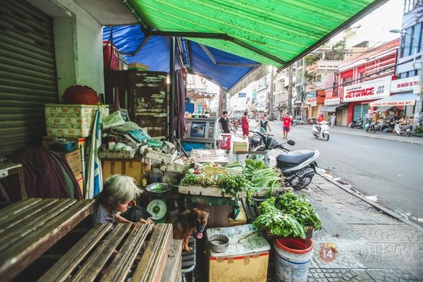 Những chú chó mèo bị bỏ rơi và hàng rau của bà cụ không gia đình ở sài gòn - 10