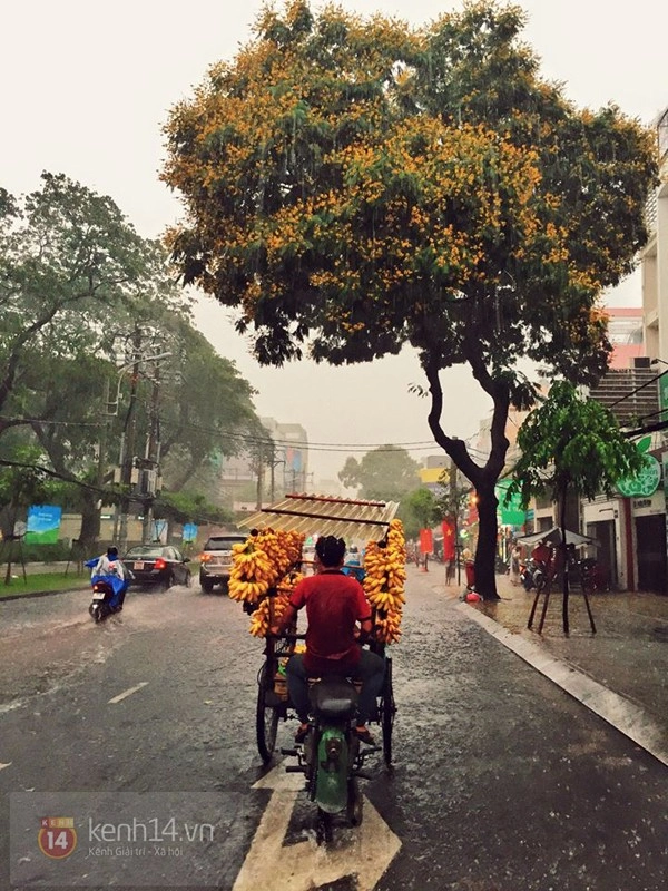 Những hình ảnh nhỏ xinh nhìn là nhớ ngay đến sài gòn - 17