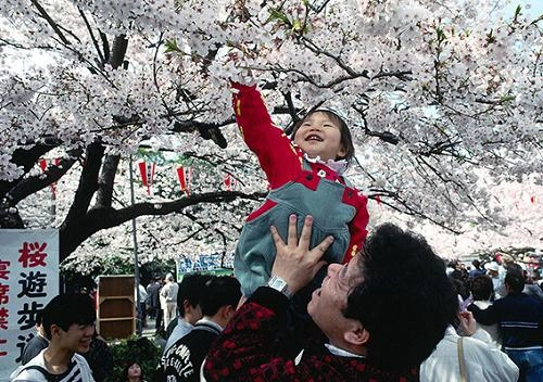 Những lễ hội mùa xuân hấp dẫn ở tokyo nhật bản - 2
