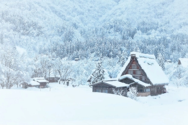 Những ngôi nhà đơn độc giữa tuyết trắng đẹp như tranh vẽ - 11