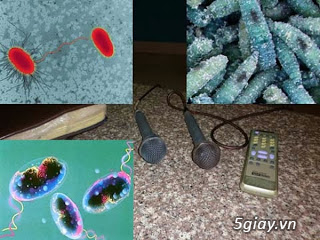Phát hiện ổ vi khuẩn từ micro hát karaoke - 1