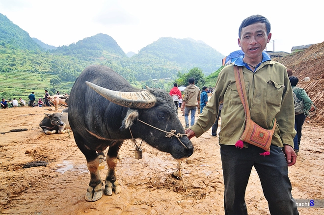 Phiên chợ trâu lớn nhất tây bắc - 8