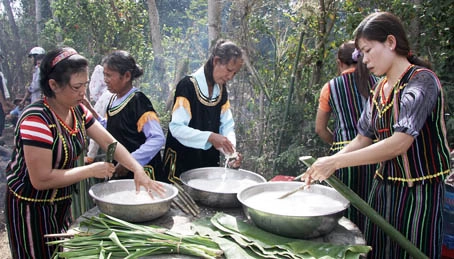 Phượt về đồng nai chiêm ngưỡng lễ hội sayangva - 3