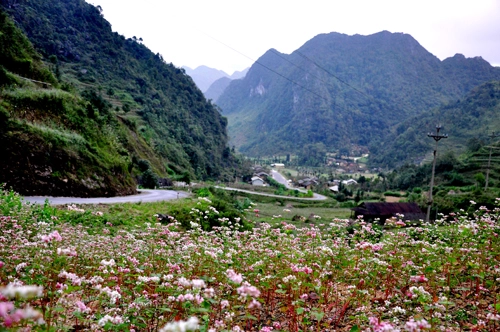 Sủng là nơi đá nở hoa - 2