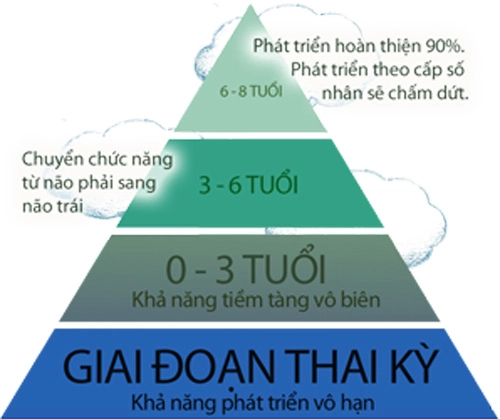 Tài năng của trẻ phát triển tốt nhất trước 6 tuổi - 2