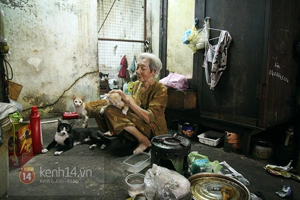 tại sao phải giúp anh đánh giày và chú chó khi chúng ta nghèo nàn và yếu đuối hơn họ - 2