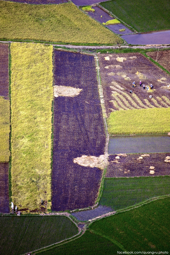 tấm thổ cẩm trên cánh đồng mới gặt ở bắc sơn - 2