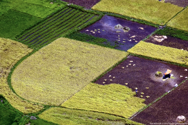 tấm thổ cẩm trên cánh đồng mới gặt ở bắc sơn - 11