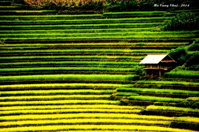 Tây bắc mùa thu lưng chừng trời - 8