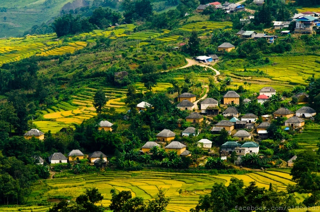 Thu vàng miên man ở y tý lào cai - 8