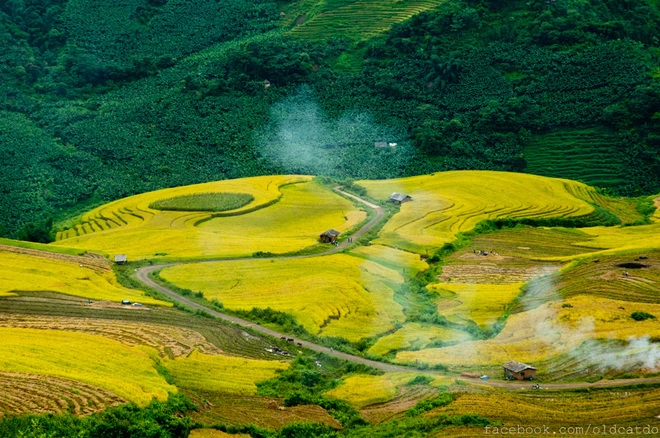 Thu vàng miên man ở y tý lào cai - 1