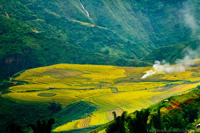 Thu vàng miên man ở y tý lào cai - 2