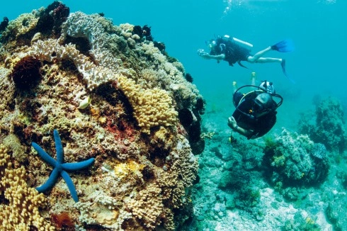 Tĩnh lặng ngôi làng bahoi đảo bunaken indonesia - 4