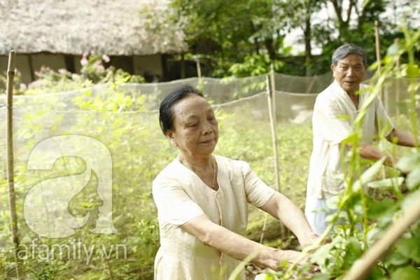 Tình yêu vĩnh cửu của cặp vợ chồng 60 năm không rời tay nhau - 5