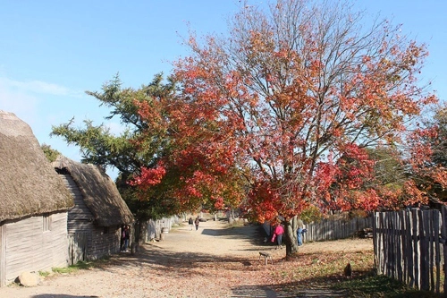 Toàn cảnh bảo tàng - 3