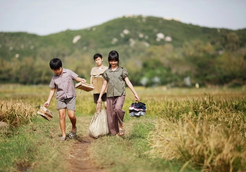 tôi thấy hoa vàng trên cỏ xanh của tác giả nguyễn nhật ánh lên phim - 2