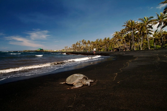 Top 10 điểm du lịch đốn tim du khách ở hawaii - 15