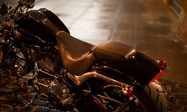 Top 10 mẫu xe môtô harley davidson được ưa chuộng nhất năm 2015 - 12