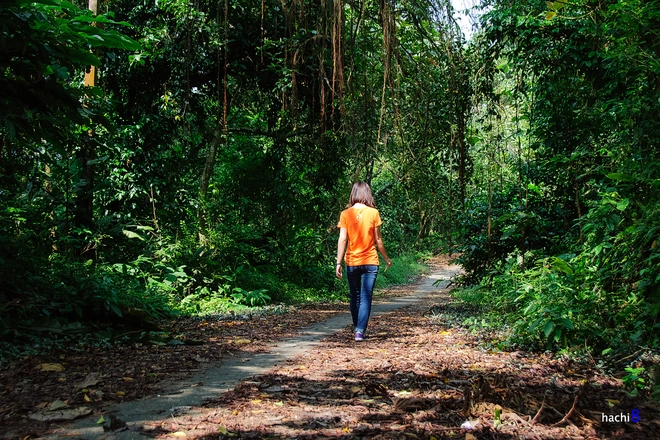 Vẻ đẹp lãng mạn những cánh hoa đầu đông ở ba vì - 5