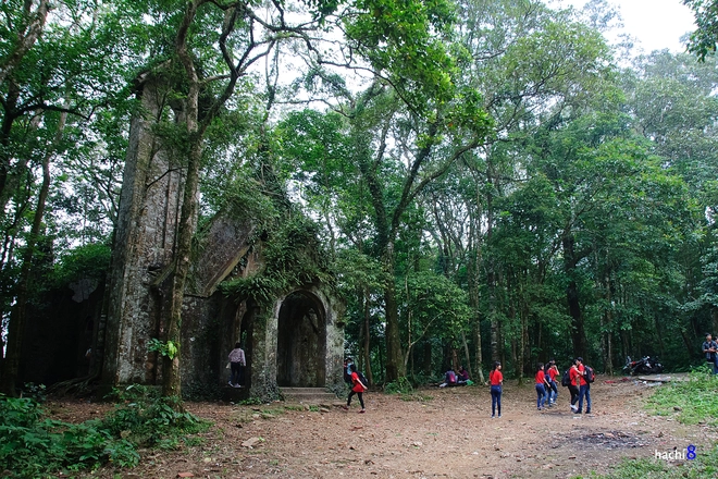 Vẻ đẹp lãng mạn những cánh hoa đầu đông ở ba vì - 9