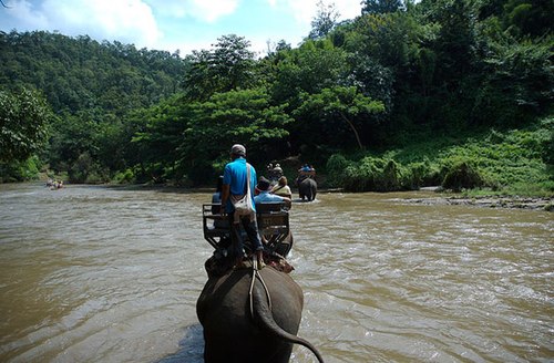 Vẻ đẹp thơ mộng của chiang mai - 4