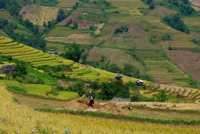 Vùng đất biệt lập chiềng ân chuyển màu lúa chín - 6